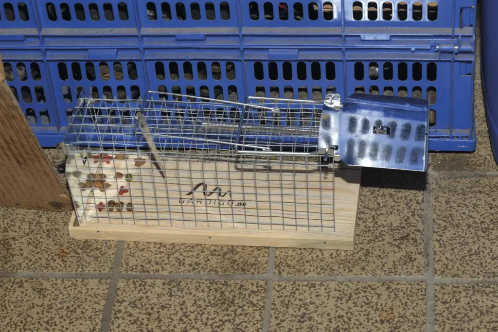 Rat live trap cage