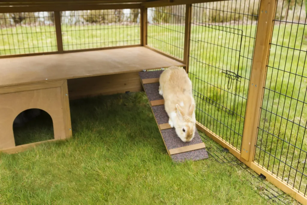 Outdoor enclosure with plastic roof & escape barrier