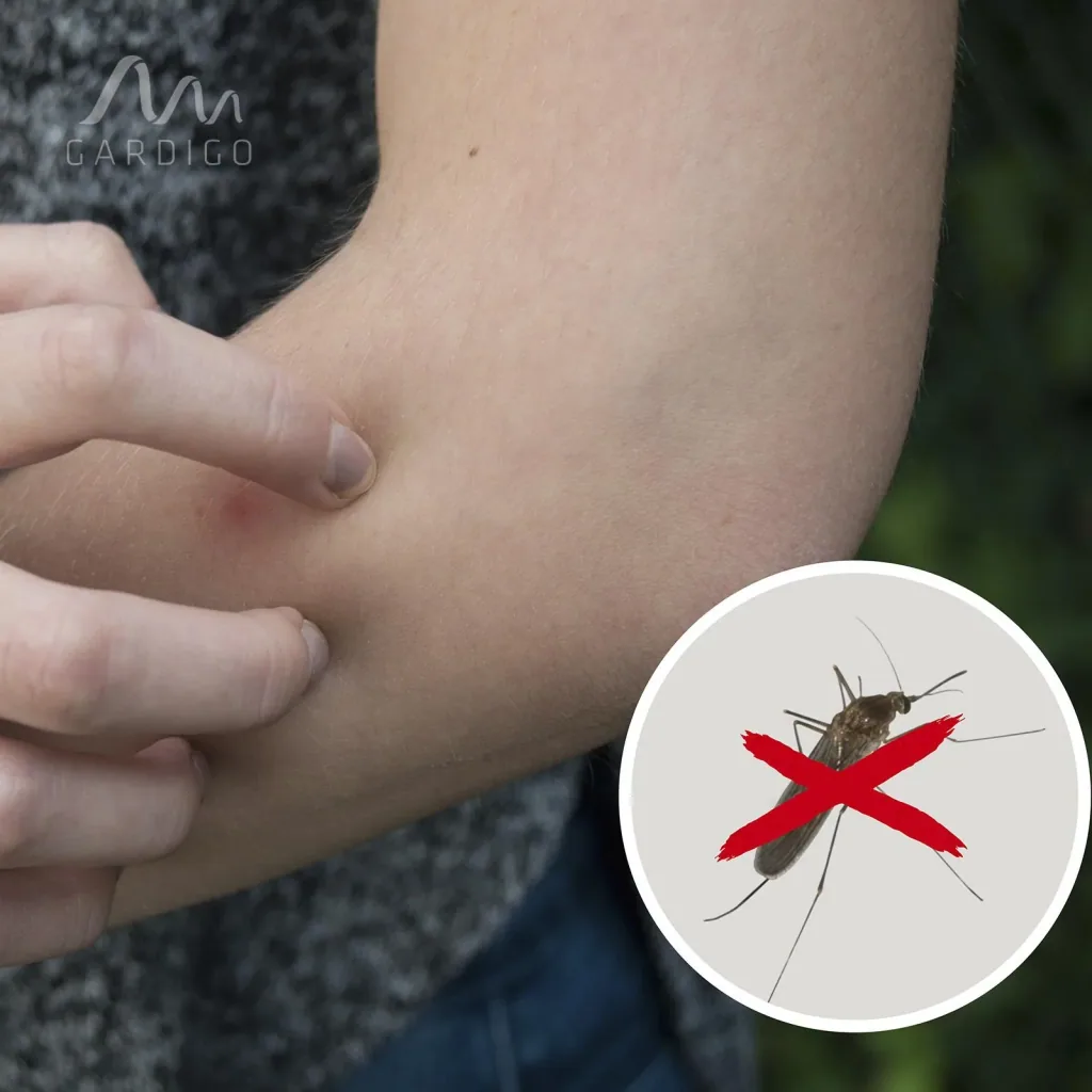 Mosquito bite protection