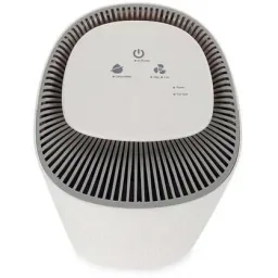 2-in-1 air purifier and dehumidifier including replacement filter