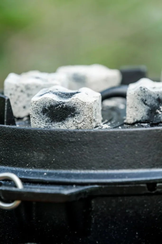 Cabix Plus briquettes