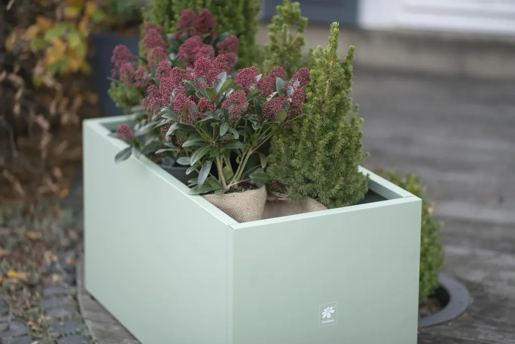 Planter 100 x 50 x 50 cactus green
