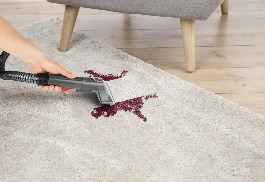 Upholstery and carpet cleaner Cleanmaxx 4982 – Efficient stain removal!
