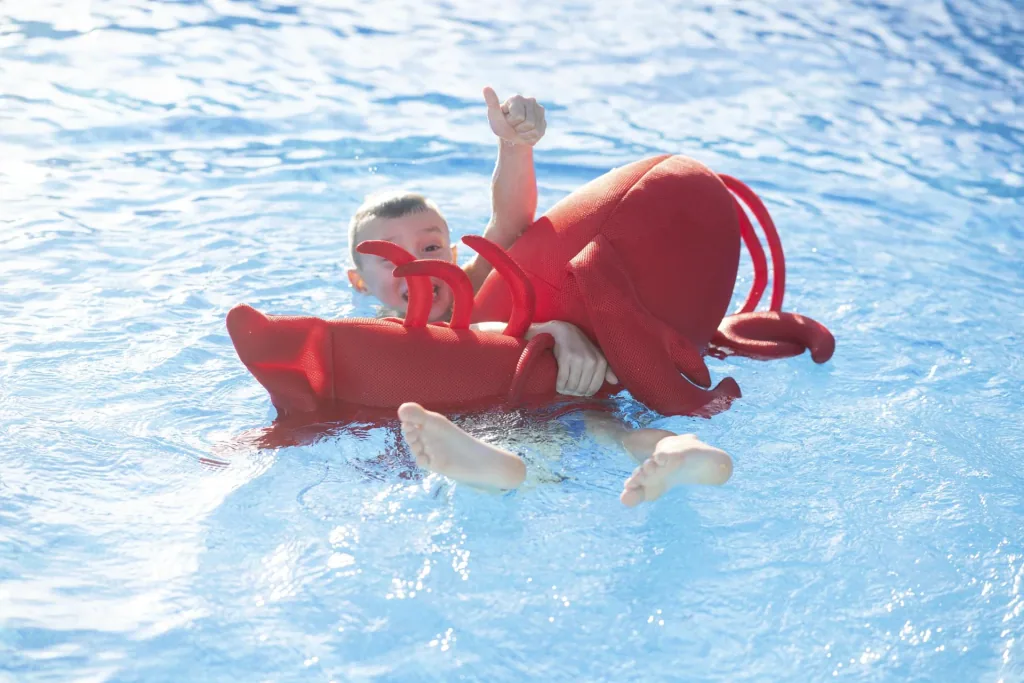 Pool Buddy Lobster rot