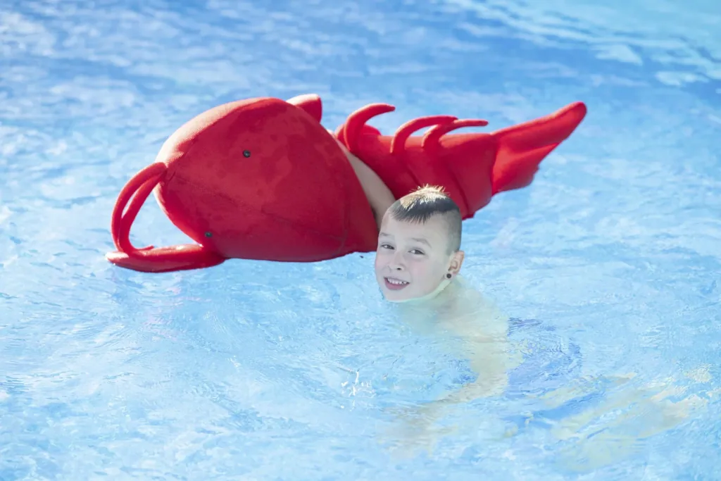 Pool Buddy Lobster rot