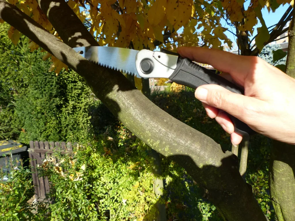 Ladies folding saw