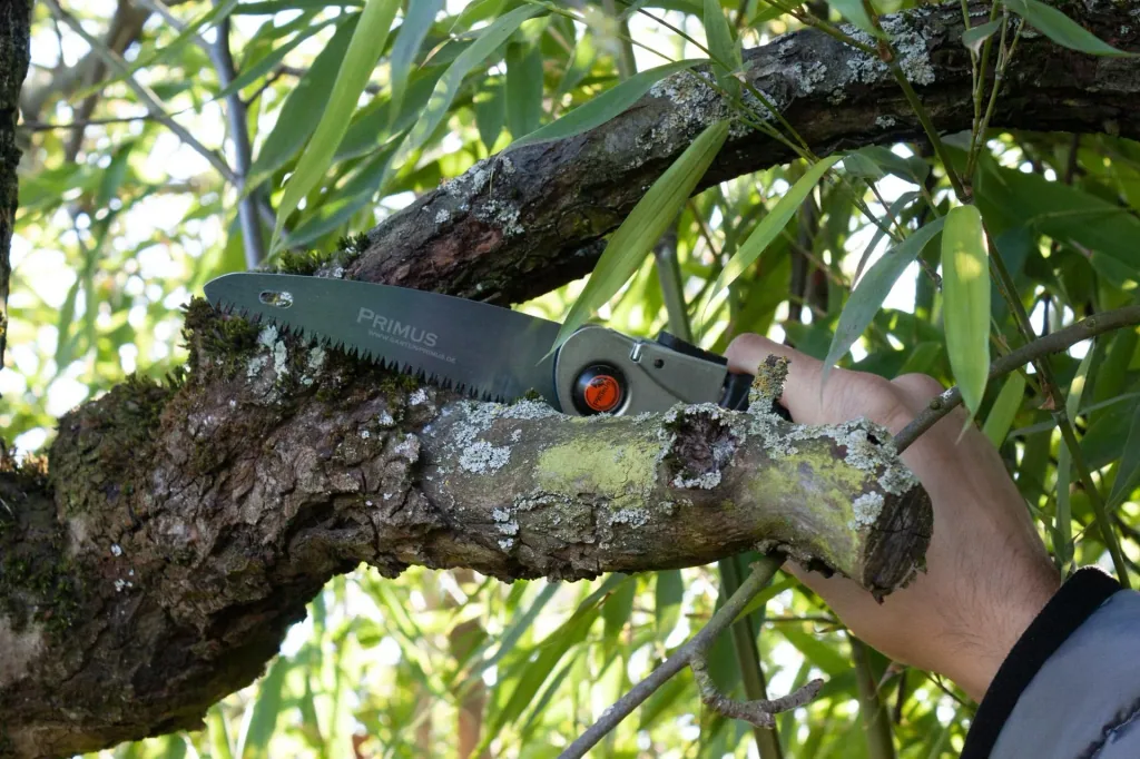 Ladies folding saw