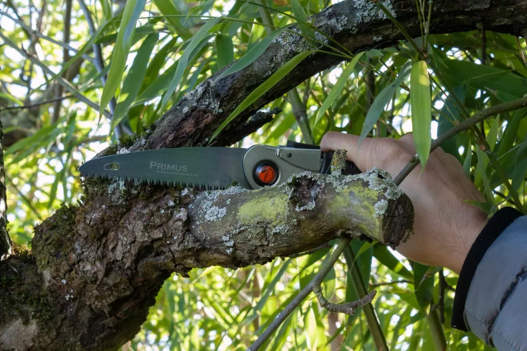 Ladies folding saw