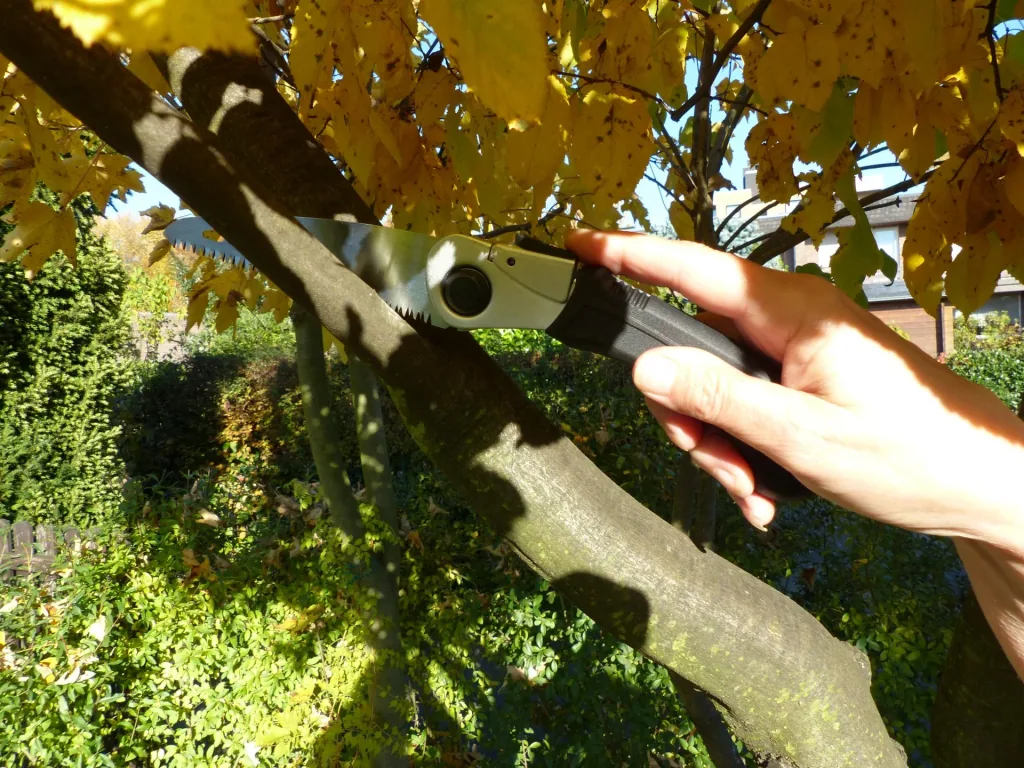 Ladies folding saw