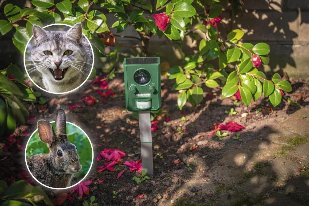 Solar Animal Repeller