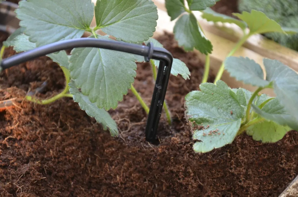 Irrigation kit for plastic greenhouses