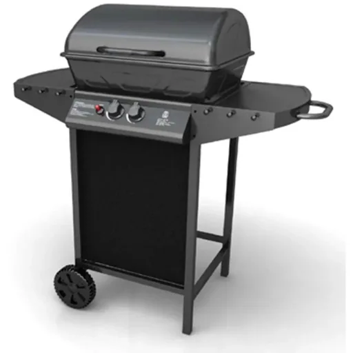 Gas grill with 2 cooking burners black