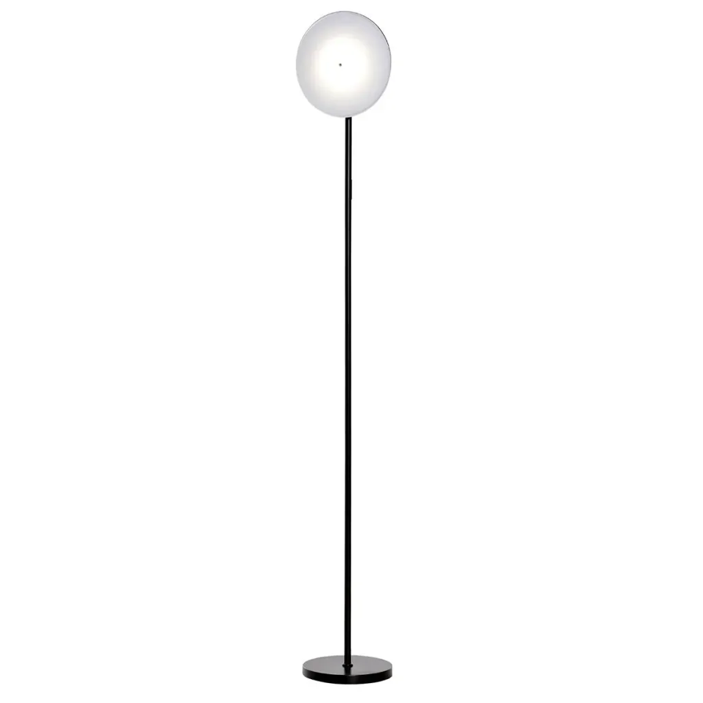 Floor lamp with LED adjustable by 90 degrees, removable light pole lamp, metal, acrylic, black, Ø28 x 171.5 cm
