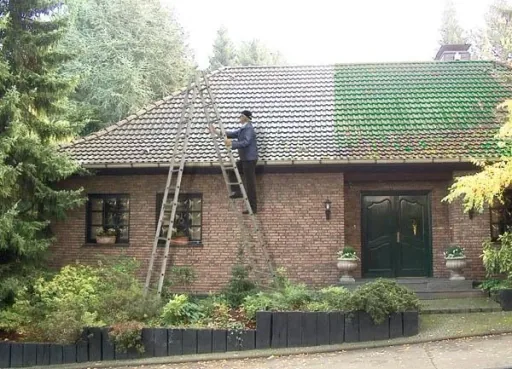 Roof cleaner 1 l
