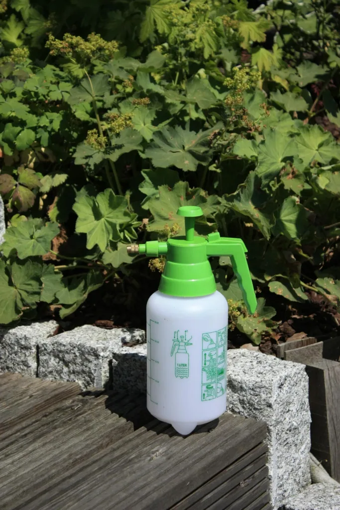 Pressure sprayer set