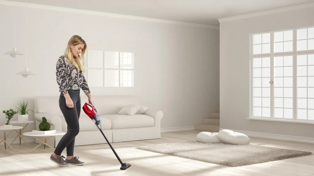 2 in 1 cordless handheld vacuum cleaner, cyclone, wet and dry cleaning, 14.4 volts