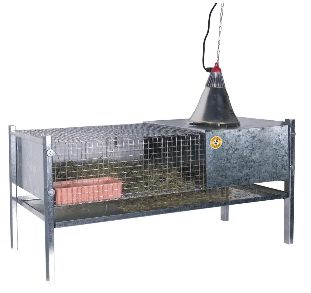 Rearing box for chicks and quails