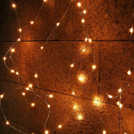 Christmas lights - 20 LEDs - Warm white - 95 cm