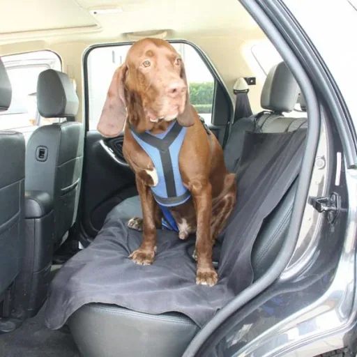 Pets protective cover for back seat