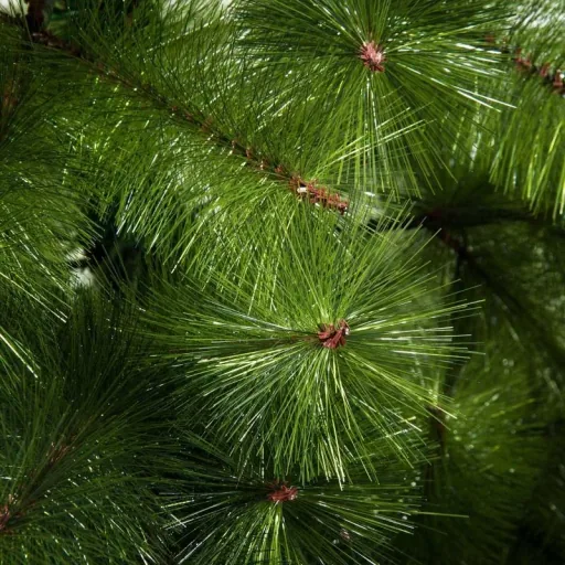 Artificial Christmas tree 2.1 m Christmas tree fir tree 505 branches