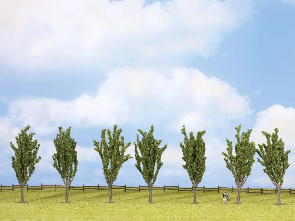 Poplars, 7 pieces, approx. 12 cm high