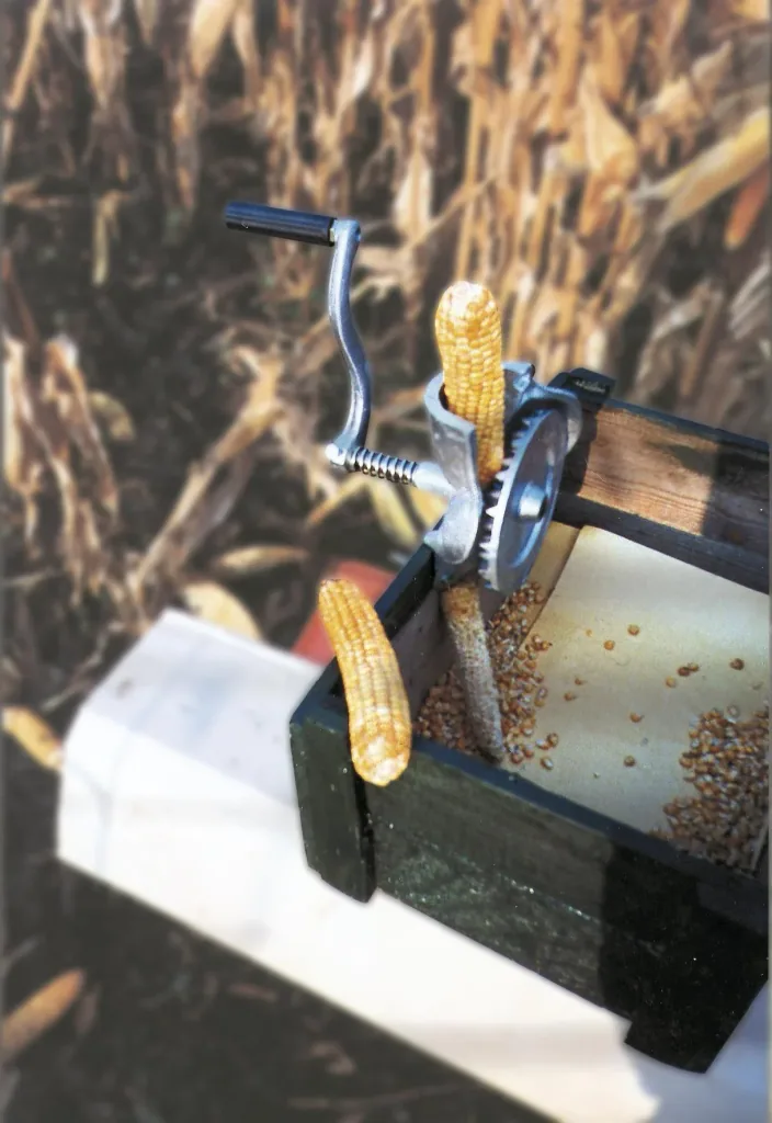 Corn ginning machine, hand-operated - indispensable for hunters and poultry farmers
