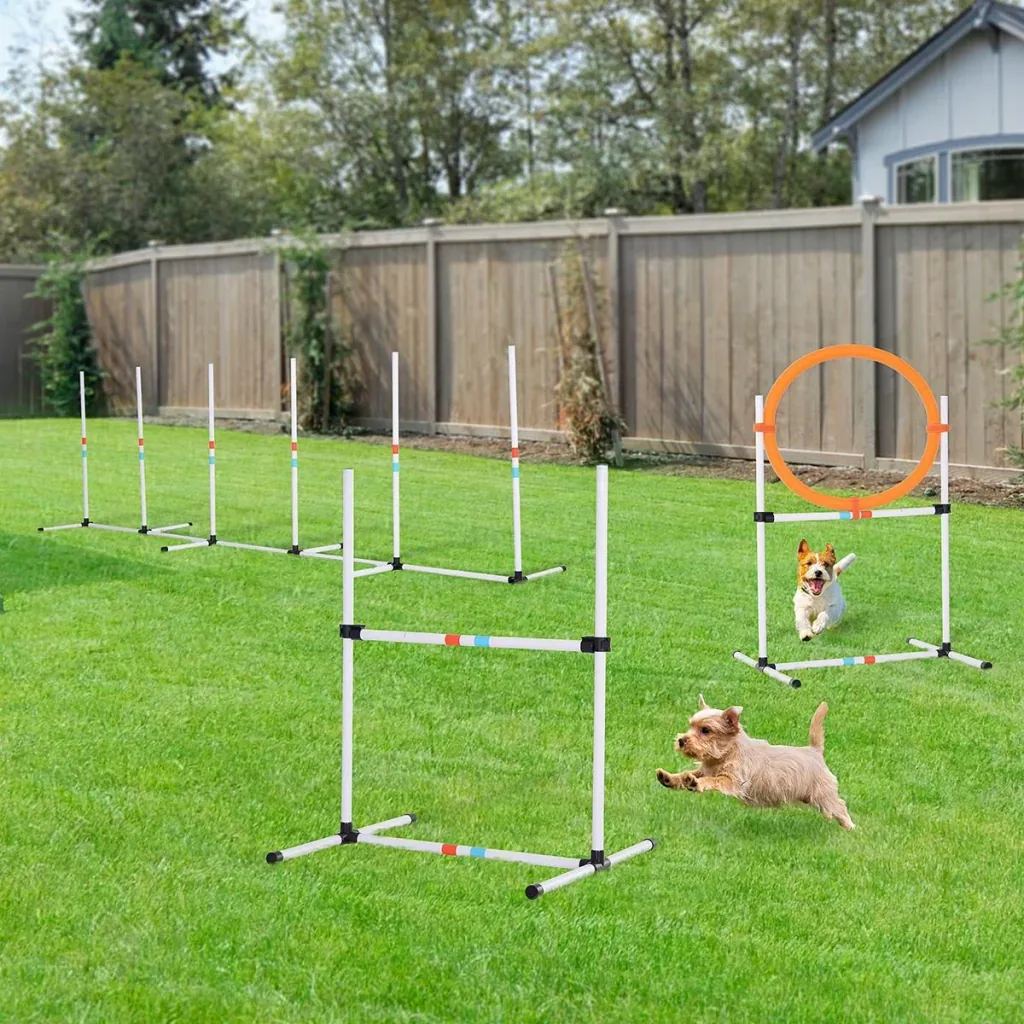 3-piece Dog Agility Set Training for Pets Dog Training Set Including Bag Easy to Carry Plastic White+Yellow