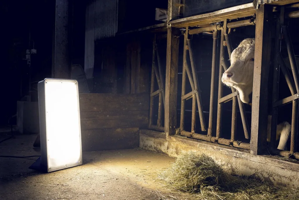 LED work light Giant 225W, IP54