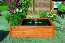 Raised pond with side planting zone