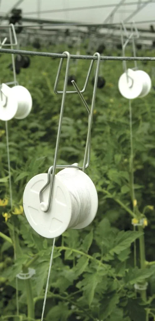Tomato trellis kit for plastic greenhouses