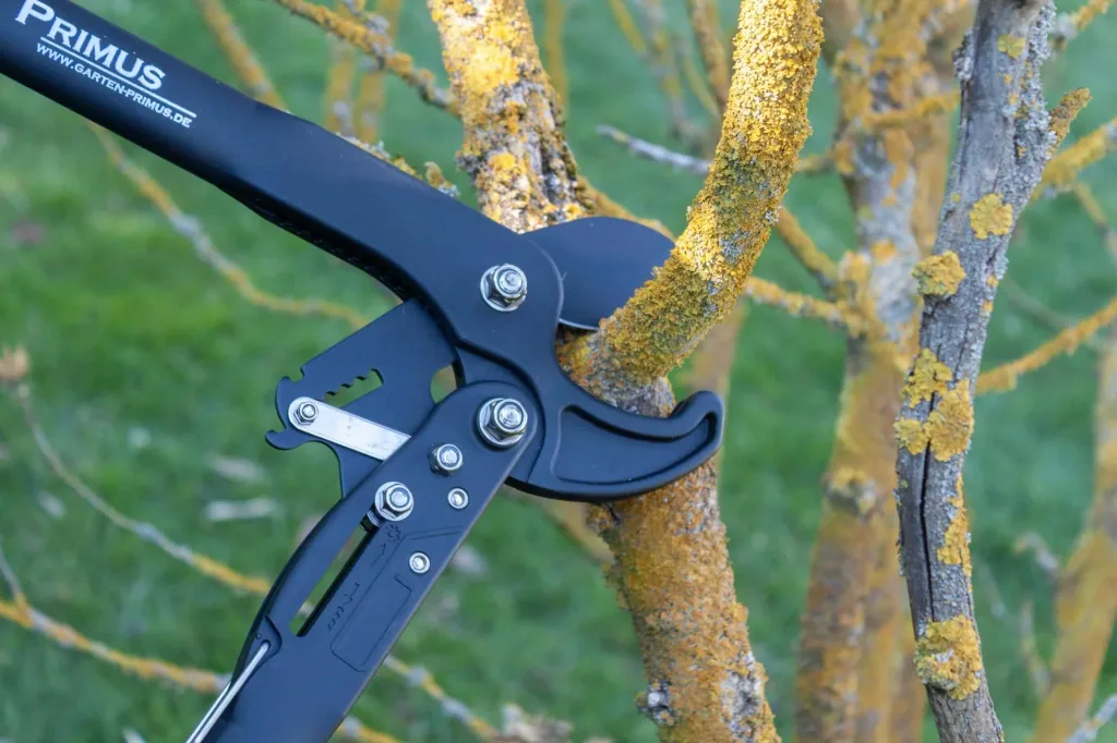Dual Cut Damen-Astschere