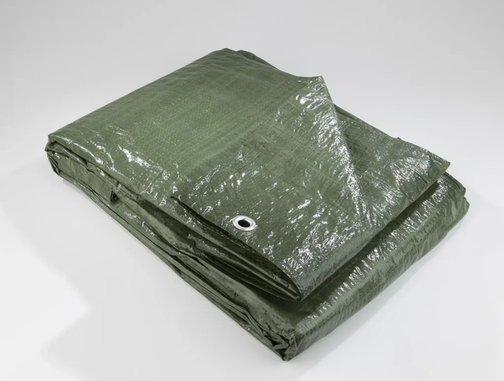 PE tarpaulin, 2 x 3 m with garden bag "Big Bag" - 80 liters and bypass garden shears