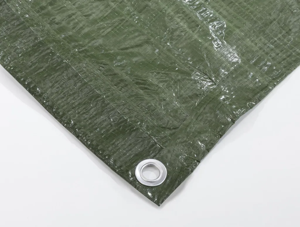 PE tarpaulin, 2 x 3 m with garden bag "Big Bag" - 80 liters and bypass garden shears