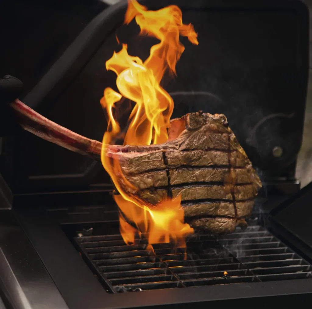 Gas grill cart 5.1