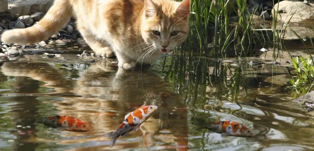 Solar dog and cat repellent
