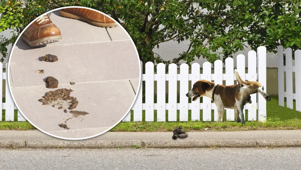Solar dog and cat repellent