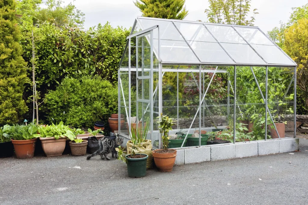 Solar dog and cat repellent