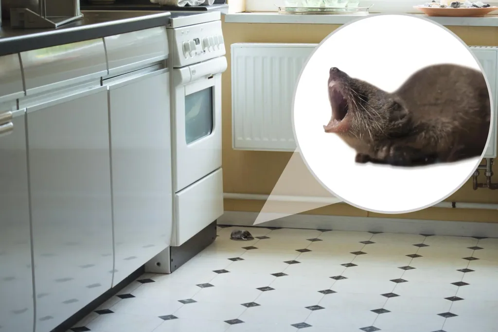 Mouse enemy