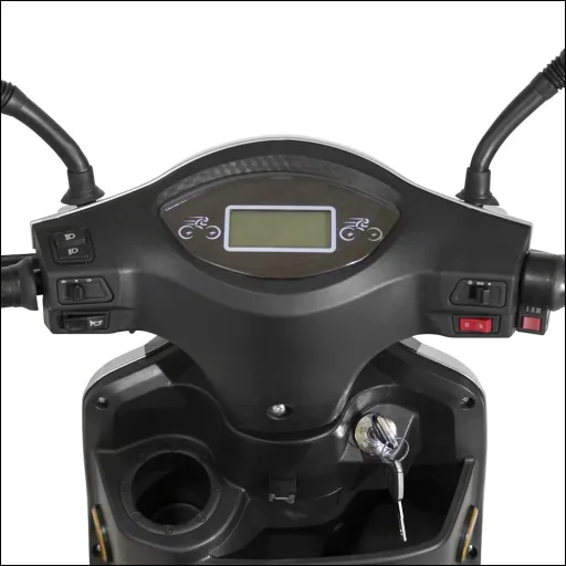 3-wheel electric vehicle Bologna 25 km/h black including wind and weather protection