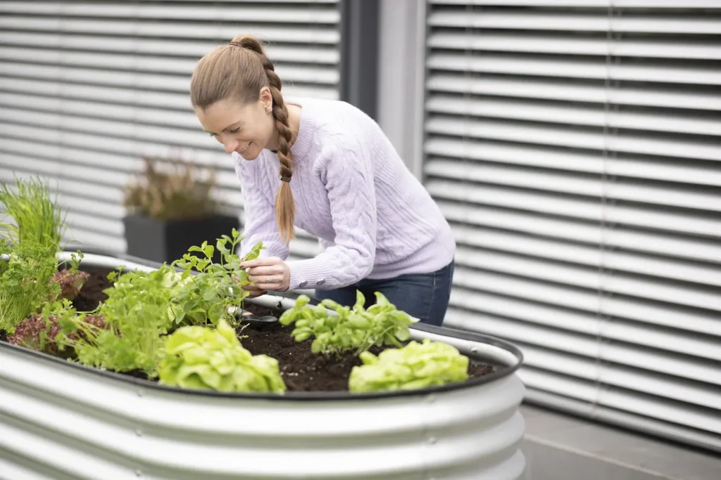 Verhoogde moestuinbak Grow Faster, 240×80×82 cm, zilver – metaal van gegalvaniseerd golfplaat