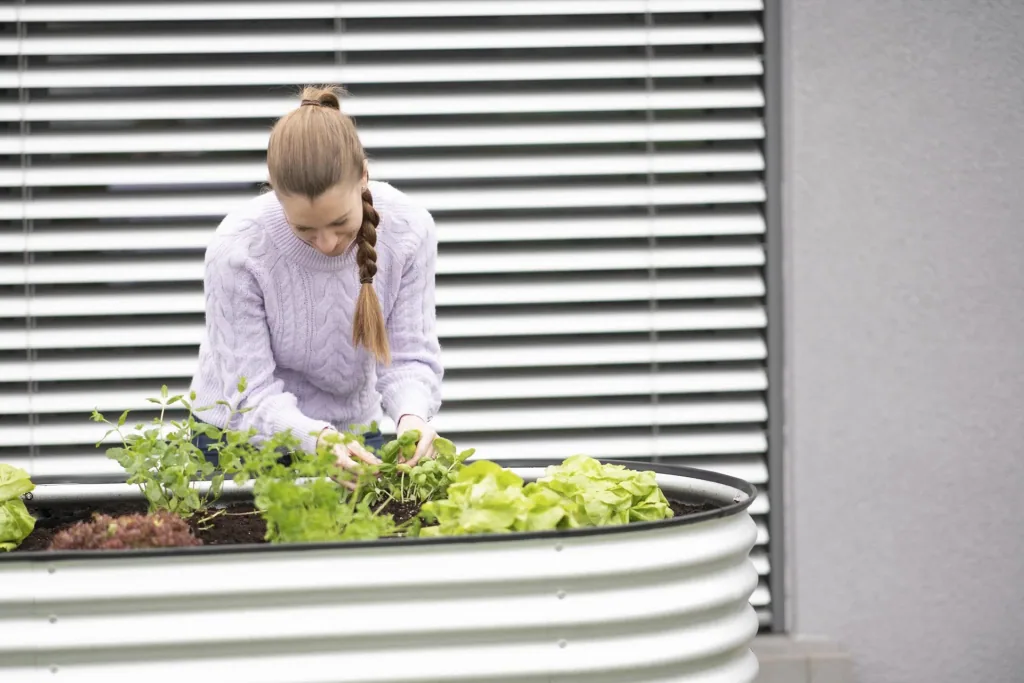 Verhoogde moestuinbak Grow Faster, 240×80×82 cm, zilver – metaal van gegalvaniseerd golfplaat