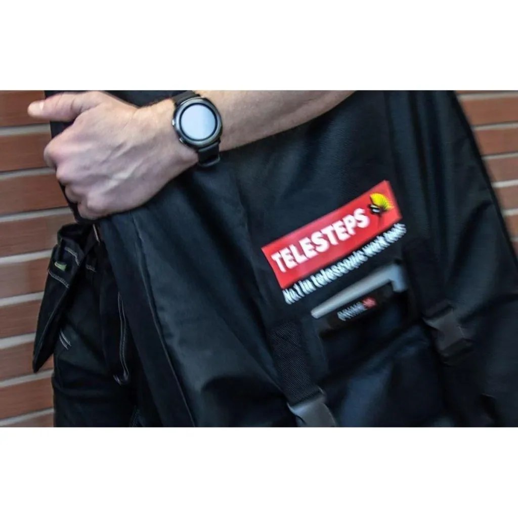 Carrying bag for ladder