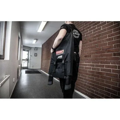 Carrying bag for ladder