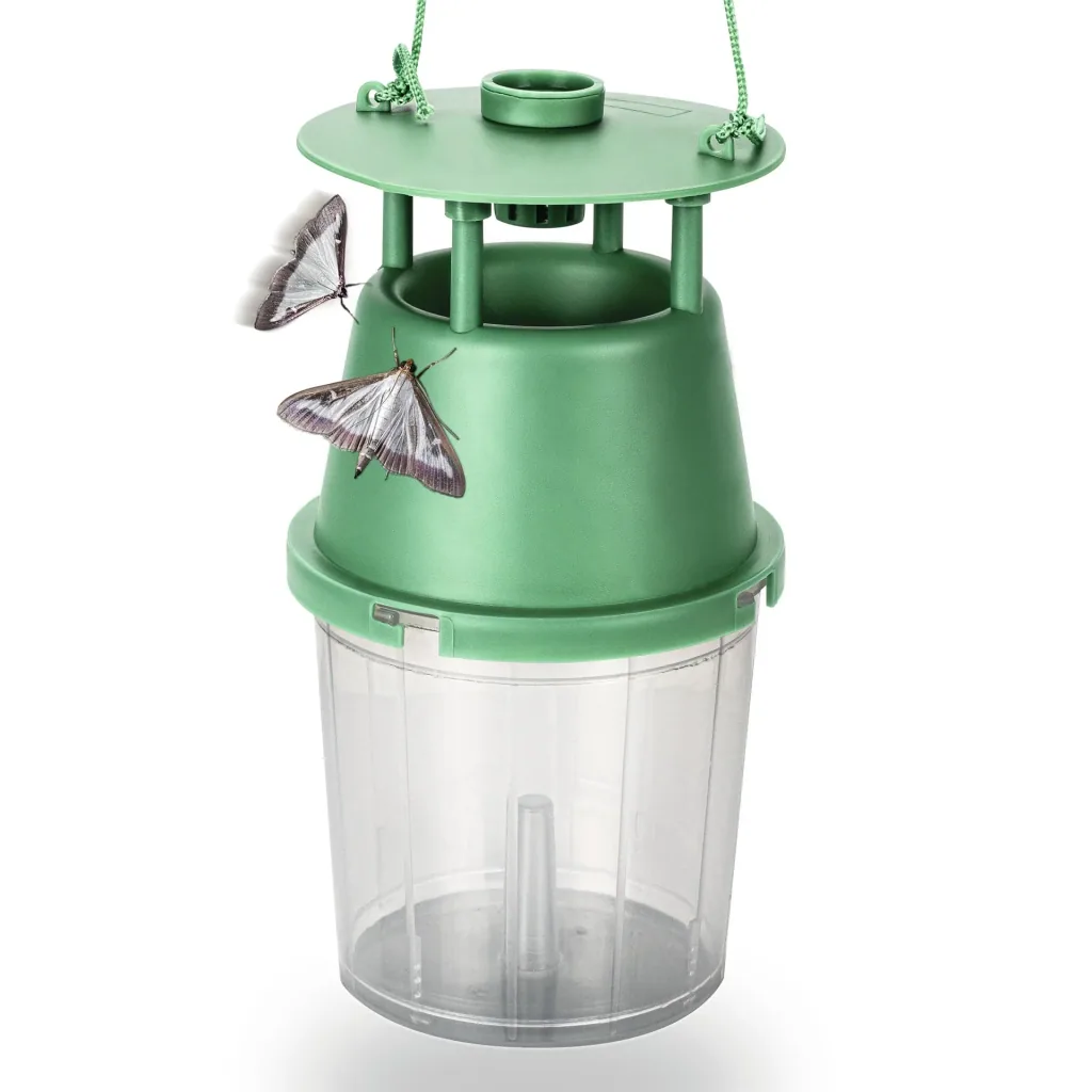 Box tree moth trap including attractant