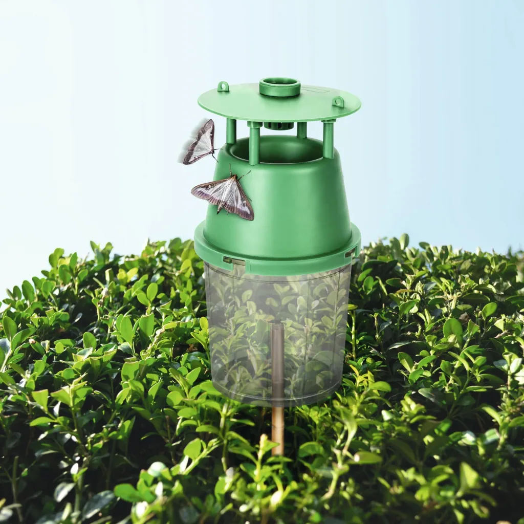 Box tree moth trap including attractant