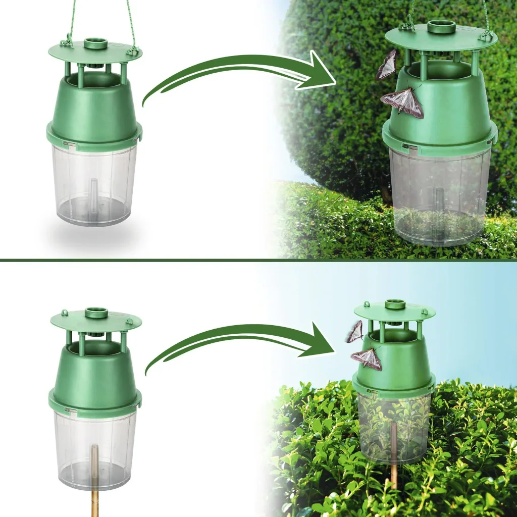 Box tree moth trap including attractant