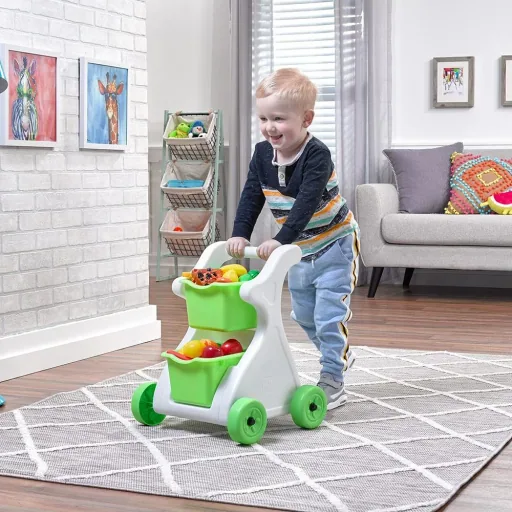 Modern Mart Shopping Carts