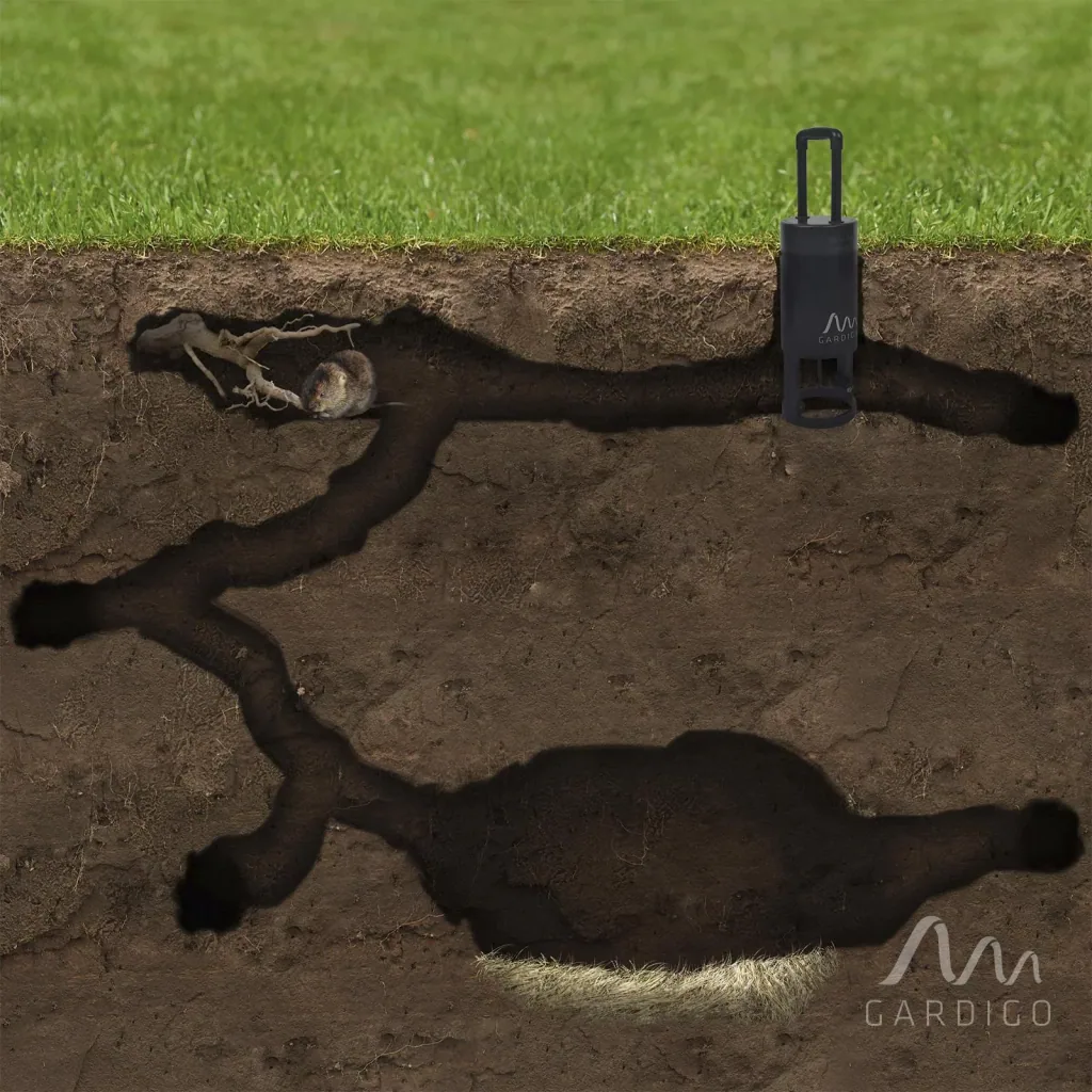 Vole trap all-in-one set