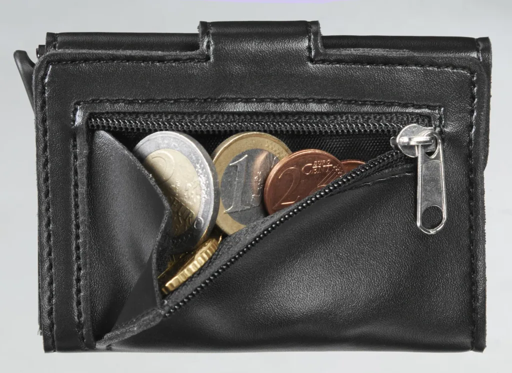 RFID protection wallet Nano Pocket