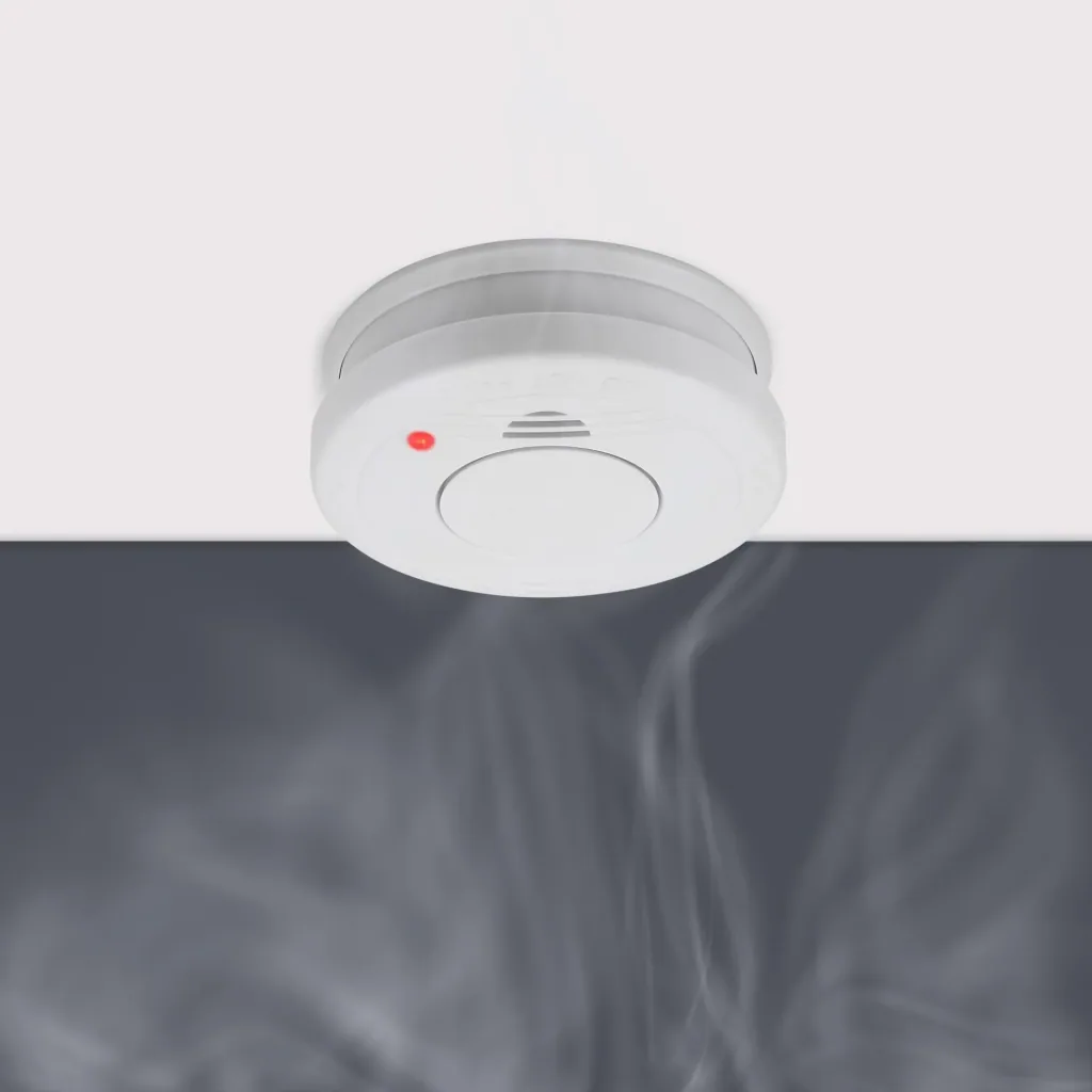 5-year smoke detector RM250/2 TÜV certified - pack of 2
